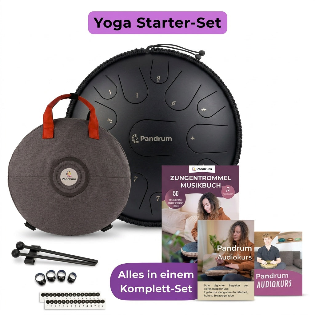 Pandrum Premium 15 Zungen Paket – Zungentrommel & Notenschnutzies